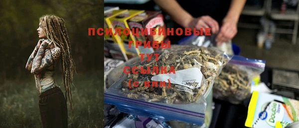 2c-b Белокуриха